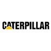 caterpillar